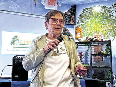 article image - Beverly-Saltonstall-040926